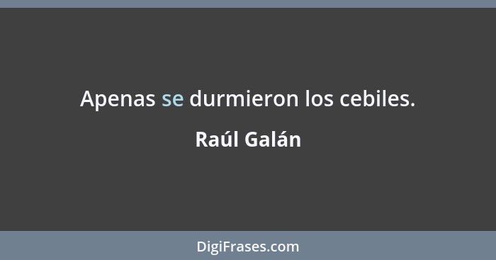 Apenas se durmieron los cebiles.... - Raúl Galán