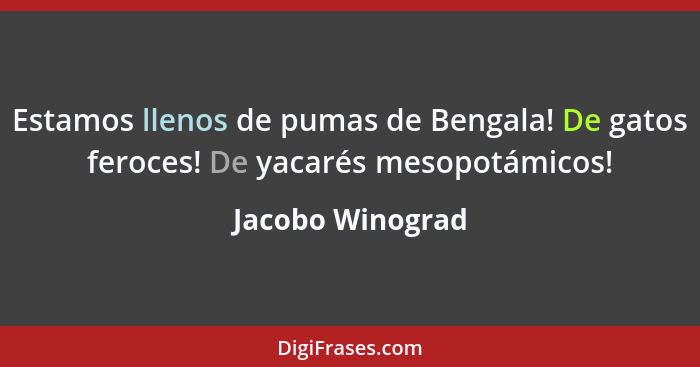 Estamos llenos de pumas de Bengala! De gatos feroces! De yacarés mesopotámicos!... - Jacobo Winograd