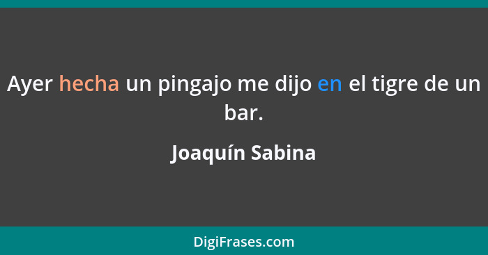 Ayer hecha un pingajo me dijo en el tigre de un bar.... - Joaquín Sabina