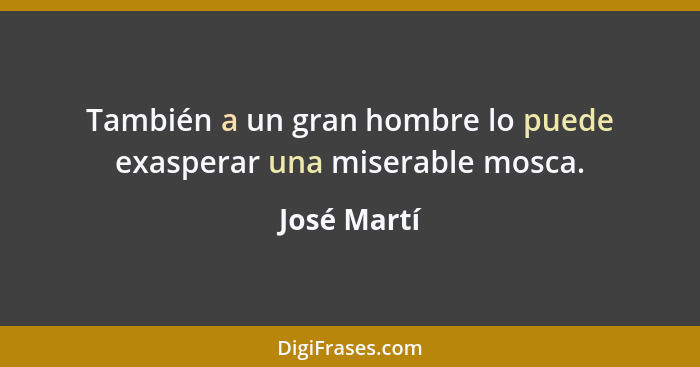 También a un gran hombre lo puede exasperar una miserable mosca.... - José Martí