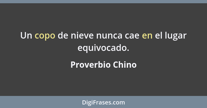 Un copo de nieve nunca cae en el lugar equivocado.... - Proverbio Chino