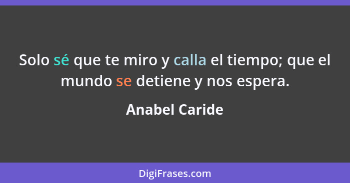 Solo sé que te miro y calla el tiempo; que el mundo se detiene y nos espera.... - Anabel Caride