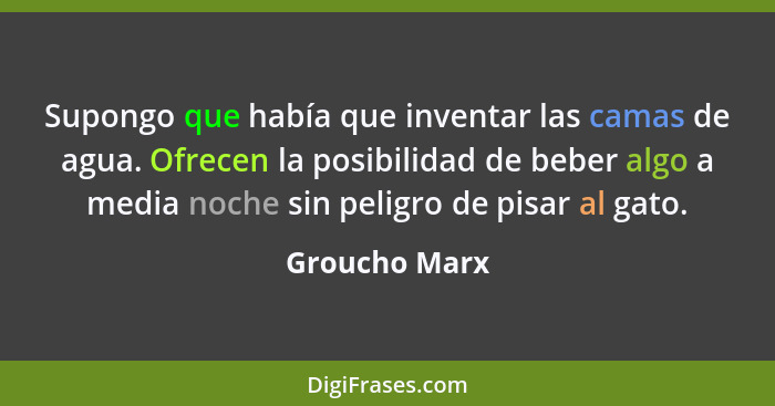 Supongo que había que inventar las camas de agua. Ofrecen la posibilidad de beber algo a media noche sin peligro de pisar al gato.... - Groucho Marx