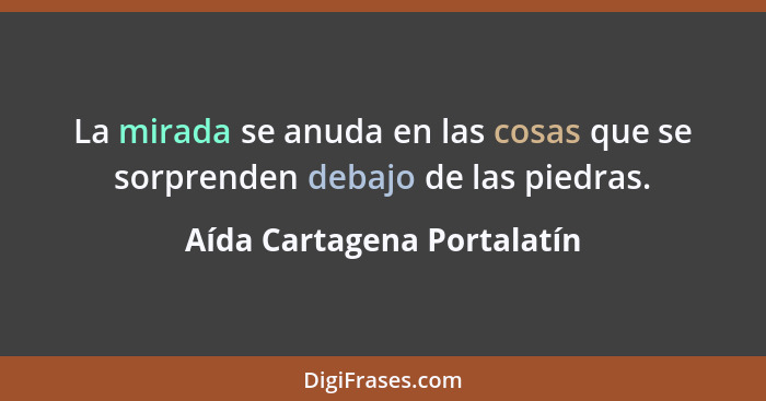 La mirada se anuda en las cosas que se sorprenden debajo de las piedras.... - Aída Cartagena Portalatín