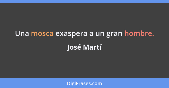 Una mosca exaspera a un gran hombre.... - José Martí