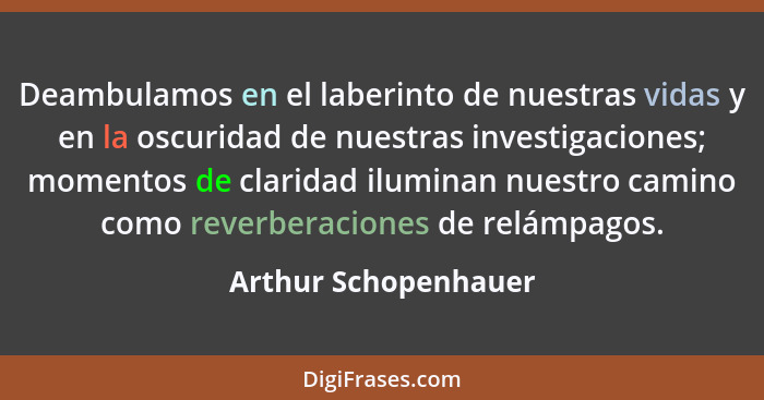 Deambulamos en el laberinto de nuestras vidas y en la oscuridad de nuestras investigaciones; momentos de claridad iluminan nuest... - Arthur Schopenhauer