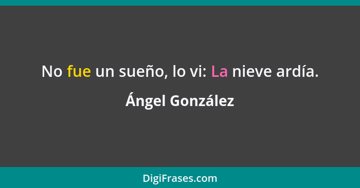 No fue un sueño, lo vi: La nieve ardía.... - Ángel González