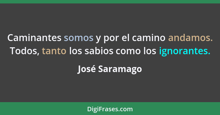 Caminantes somos y por el camino andamos. Todos, tanto los sabios como los ignorantes.... - José Saramago