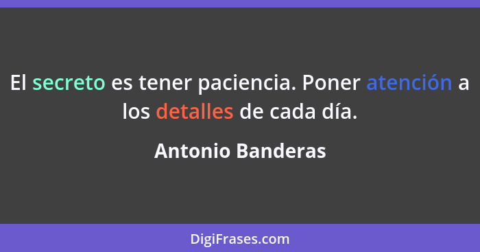 El secreto es tener paciencia. Poner atención a los detalles de cada día.... - Antonio Banderas