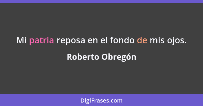 Mi patria reposa en el fondo de mis ojos.... - Roberto Obregón