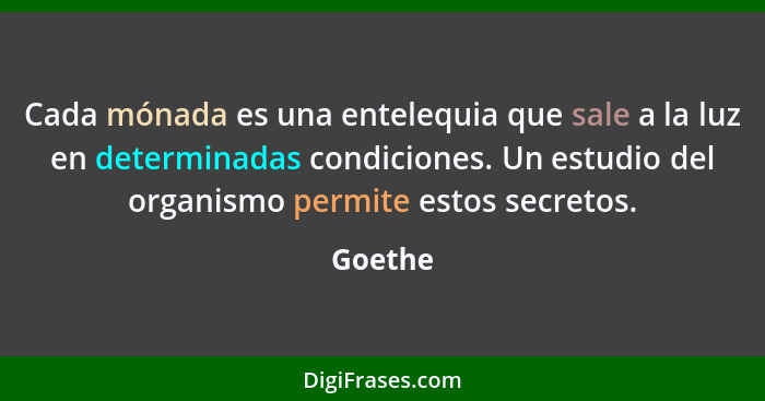 Cada mónada es una entelequia que sale a la luz en determinadas condiciones. Un estudio del organismo permite estos secretos.... - Goethe