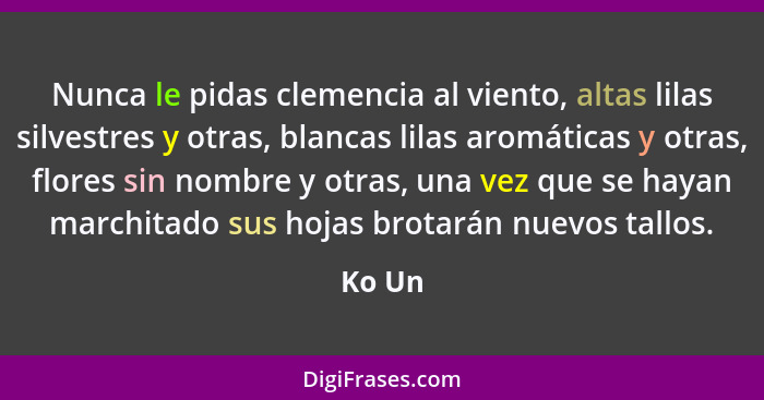 Nunca le pidas clemencia al viento, altas lilas silvestres y otras, blancas lilas aromáticas y otras, flores sin nombre y otras, una vez que s... - Ko Un