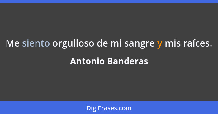 Me siento orgulloso de mi sangre y mis raíces.... - Antonio Banderas