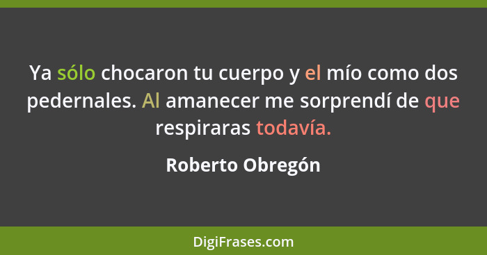 Ya sólo chocaron tu cuerpo y el mío como dos pedernales. Al amanecer me sorprendí de que respiraras todavía.... - Roberto Obregón