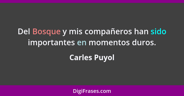 Del Bosque y mis compañeros han sido importantes en momentos duros.... - Carles Puyol