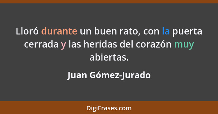 Lloró durante un buen rato, con la puerta cerrada y las heridas del corazón muy abiertas.... - Juan Gómez-Jurado