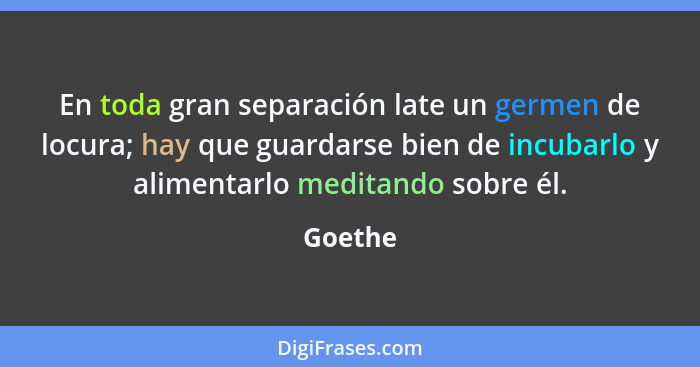 En toda gran separación late un germen de locura; hay que guardarse bien de incubarlo y alimentarlo meditando sobre él.... - Goethe