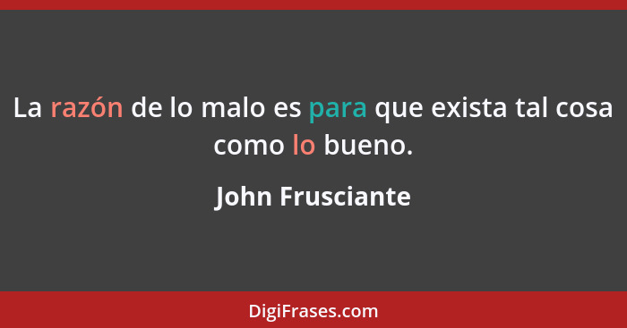 La razón de lo malo es para que exista tal cosa como lo bueno.... - John Frusciante