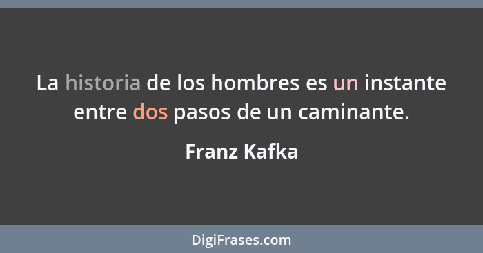 La historia de los hombres es un instante entre dos pasos de un caminante.... - Franz Kafka