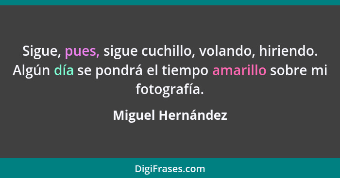 Sigue, pues, sigue cuchillo, volando, hiriendo. Algún día se pondrá el tiempo amarillo sobre mi fotografía.... - Miguel Hernández