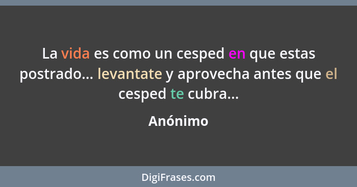 La vida es como un cesped en que estas postrado... levantate y aprovecha antes que el cesped te cubra...... - Anónimo