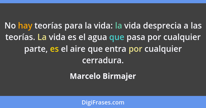 No hay teorías para la vida: la vida desprecia a las teorías. La vida es el agua que pasa por cualquier parte, es el aire que entra... - Marcelo Birmajer