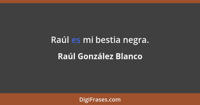 Raúl es mi bestia negra.... - Raúl González Blanco