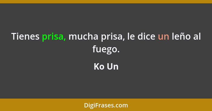 Tienes prisa, mucha prisa, le dice un leño al fuego.... - Ko Un