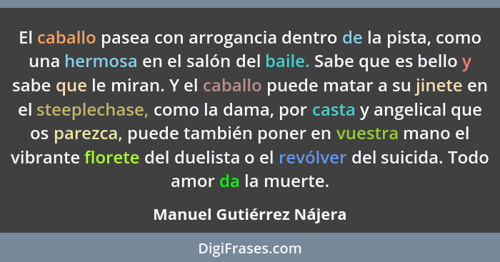 El caballo pasea con arrogancia dentro de la pista, como una hermosa en el salón del baile. Sabe que es bello y sabe que le... - Manuel Gutiérrez Nájera