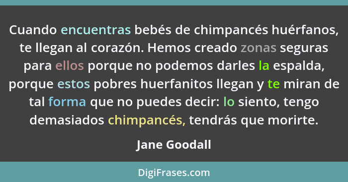 Cuando encuentras bebés de chimpancés huérfanos, te llegan al corazón. Hemos creado zonas seguras para ellos porque no podemos darles l... - Jane Goodall