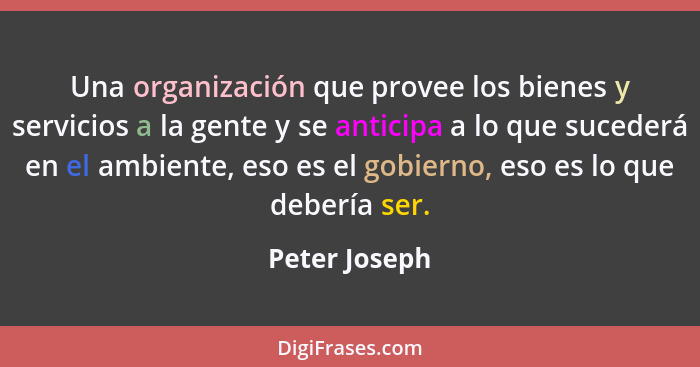 Una organización que provee los bienes y servicios a la gente y se anticipa a lo que sucederá en el ambiente, eso es el gobierno, eso e... - Peter Joseph