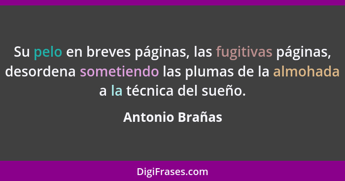 Su pelo en breves páginas, las fugitivas páginas, desordena sometiendo las plumas de la almohada a la técnica del sueño.... - Antonio Brañas