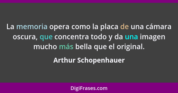 La memoria opera como la placa de una cámara oscura, que concentra todo y da una imagen mucho más bella que el original.... - Arthur Schopenhauer