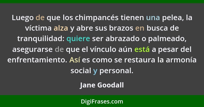 Luego de que los chimpancés tienen una pelea, la víctima alza y abre sus brazos en busca de tranquilidad: quiere ser abrazado o palmead... - Jane Goodall