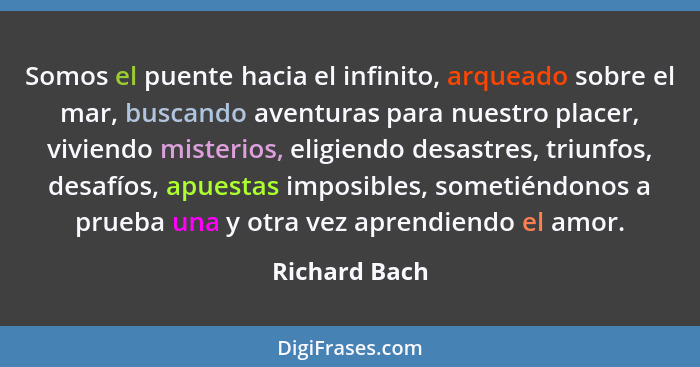 Somos el puente hacia el infinito, arqueado sobre el mar, buscando aventuras para nuestro placer, viviendo misterios, eligiendo desastr... - Richard Bach