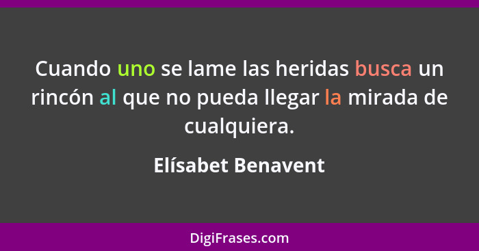 Cuando uno se lame las heridas busca un rincón al que no pueda llegar la mirada de cualquiera.... - Elísabet Benavent