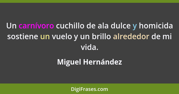 Un carnívoro cuchillo de ala dulce y homicida sostiene un vuelo y un brillo alrededor de mi vida.... - Miguel Hernández