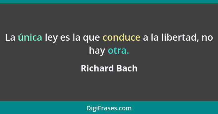 La única ley es la que conduce a la libertad, no hay otra.... - Richard Bach