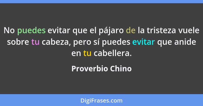 No puedes evitar que el pájaro de la tristeza vuele sobre tu cabeza, pero sí puedes evitar que anide en tu cabellera.... - Proverbio Chino