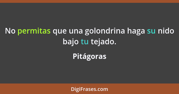 No permitas que una golondrina haga su nido bajo tu tejado.... - Pitágoras