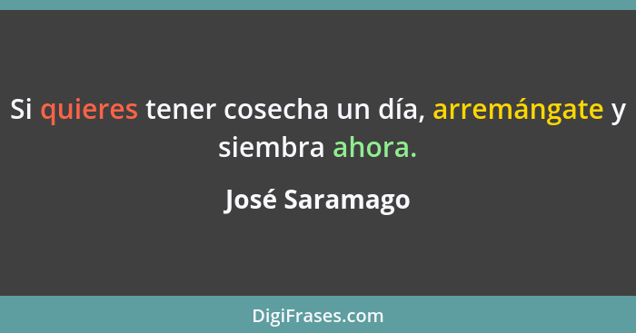 Si quieres tener cosecha un día, arremángate y siembra ahora.... - José Saramago