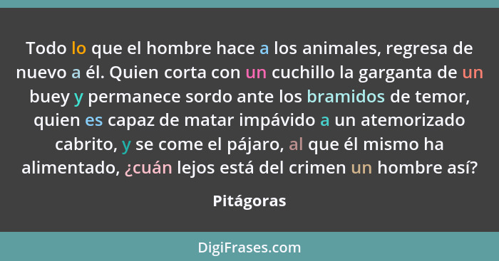 Todo lo que el hombre hace a los animales, regresa de nuevo a él. Quien corta con un cuchillo la garganta de un buey y permanece sordo ant... - Pitágoras