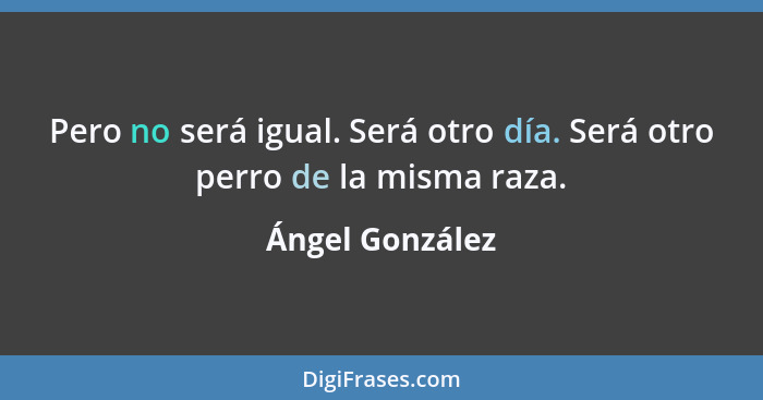 Pero no será igual. Será otro día. Será otro perro de la misma raza.... - Ángel González