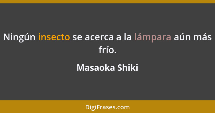 Ningún insecto se acerca a la lámpara aún más frío.... - Masaoka Shiki