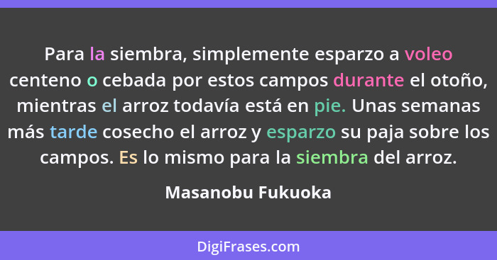 Para la siembra, simplemente esparzo a voleo centeno o cebada por estos campos durante el otoño, mientras el arroz todavía está en... - Masanobu Fukuoka