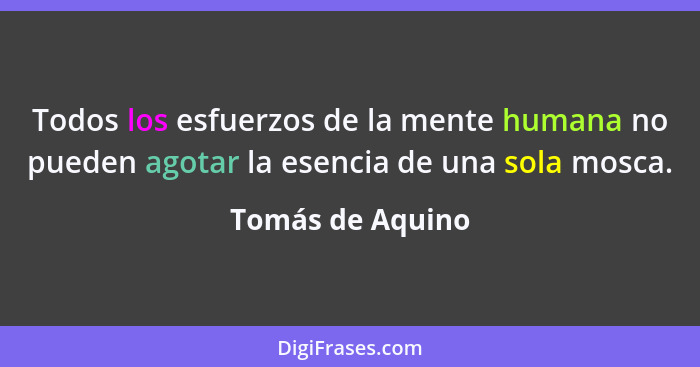 Todos los esfuerzos de la mente humana no pueden agotar la esencia de una sola mosca.... - Tomás de Aquino