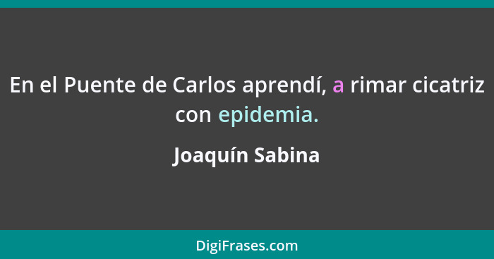 En el Puente de Carlos aprendí, a rimar cicatriz con epidemia.... - Joaquín Sabina