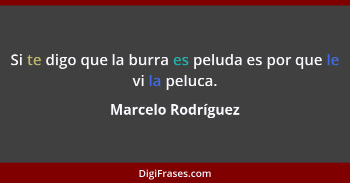 Si te digo que la burra es peluda es por que le vi la peluca.... - Marcelo Rodríguez