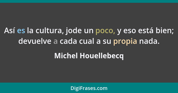 Así es la cultura, jode un poco, y eso está bien; devuelve a cada cual a su propia nada.... - Michel Houellebecq