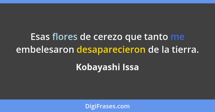 Esas flores de cerezo que tanto me embelesaron desaparecieron de la tierra.... - Kobayashi Issa